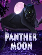 แอ พ สูตร บา คา ร่า ฟรี สำหรับคนรักความสนุก